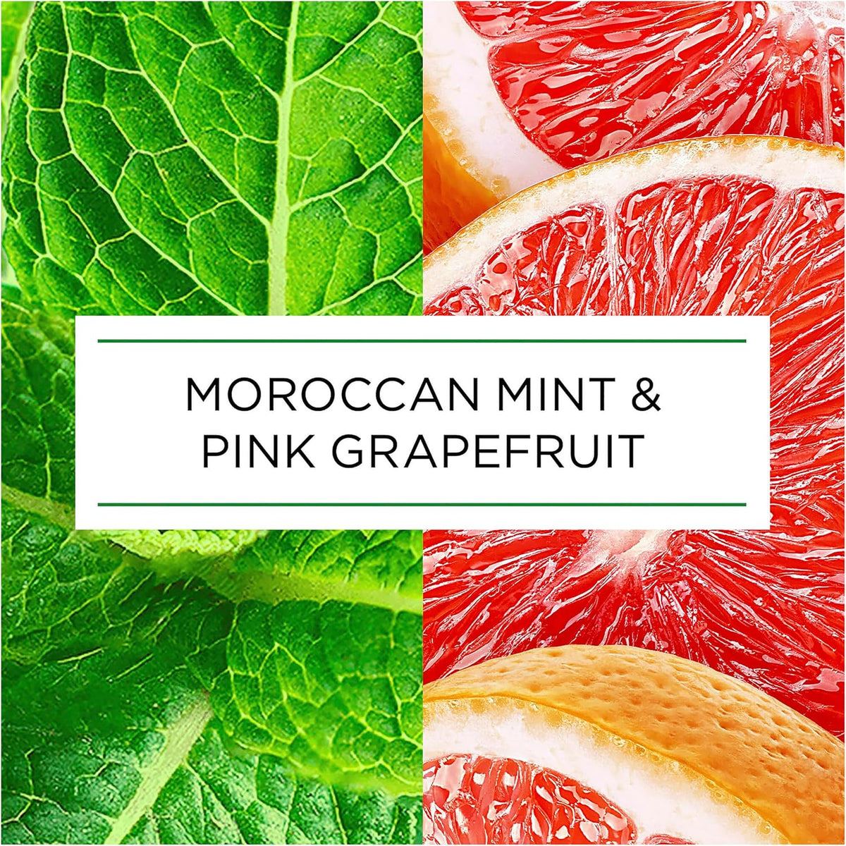Botanica by Air Wick Moroccan Mint & Pink Grapefruit Automatic Spray Refill 228mL image 12