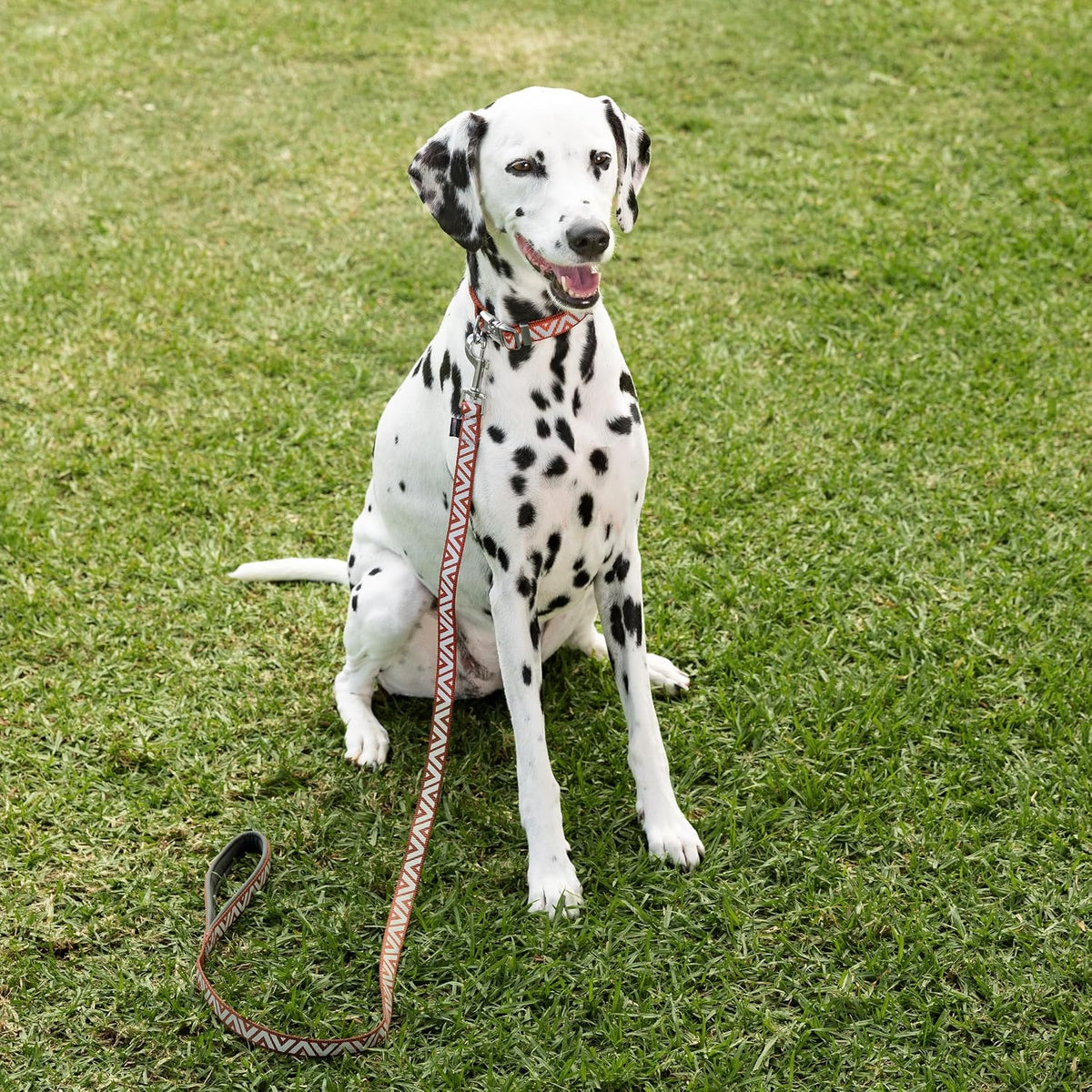 Purina Total Care Reflective Dog Lead 120cm image 10