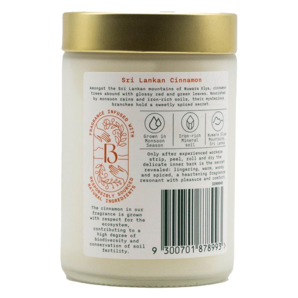 Botanica Origins Sri Lankan Cinnamon Candle 250g image 8