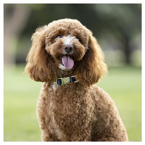 Purina Total Care Dog Collar Everyday Small 25-40cm image 7