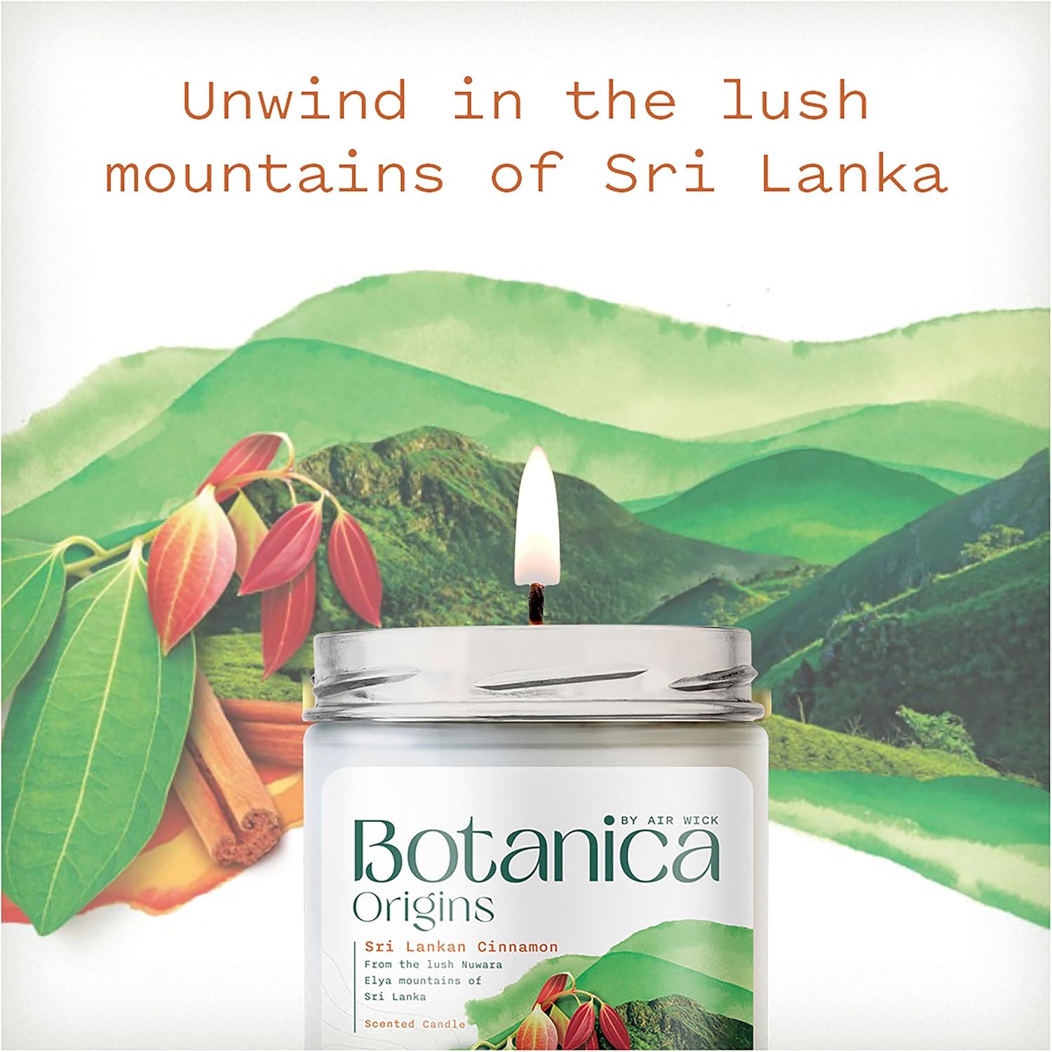 Botanica Origins Sri Lankan Cinnamon Candle 250g image 5