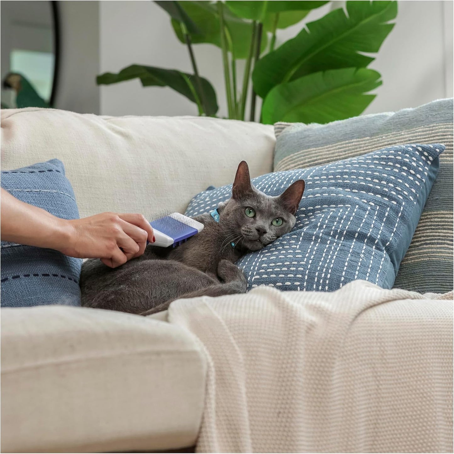 Purina Total Care Cats Slicker & Massager image 4