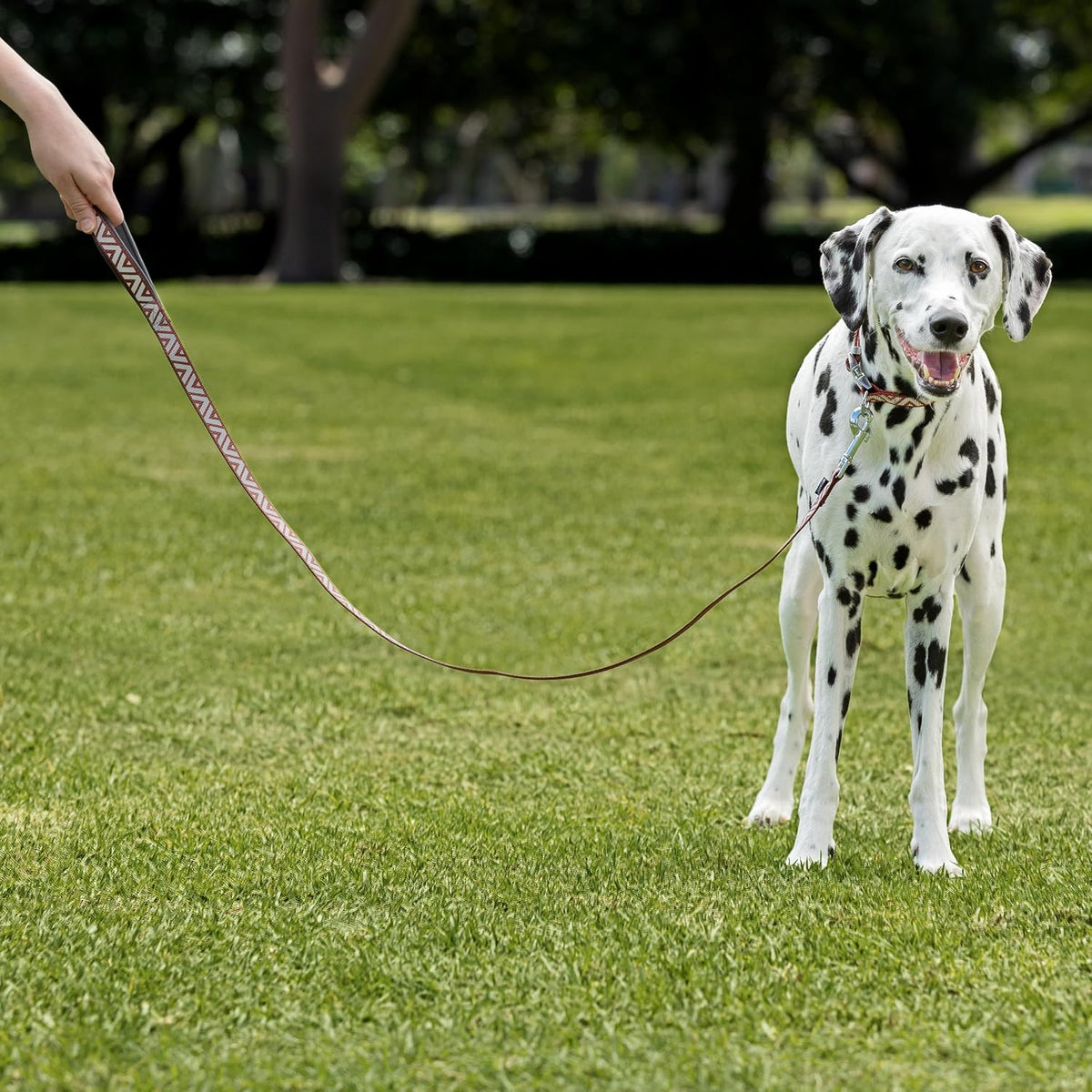 Purina Total Care Reflective Dog Lead 120cm image 6
