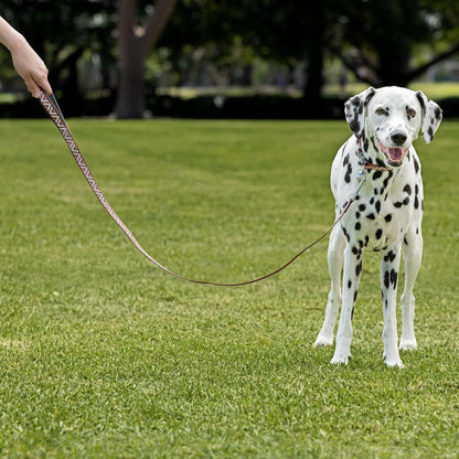 Purina Total Care Reflective Dog Lead 120cm image 6