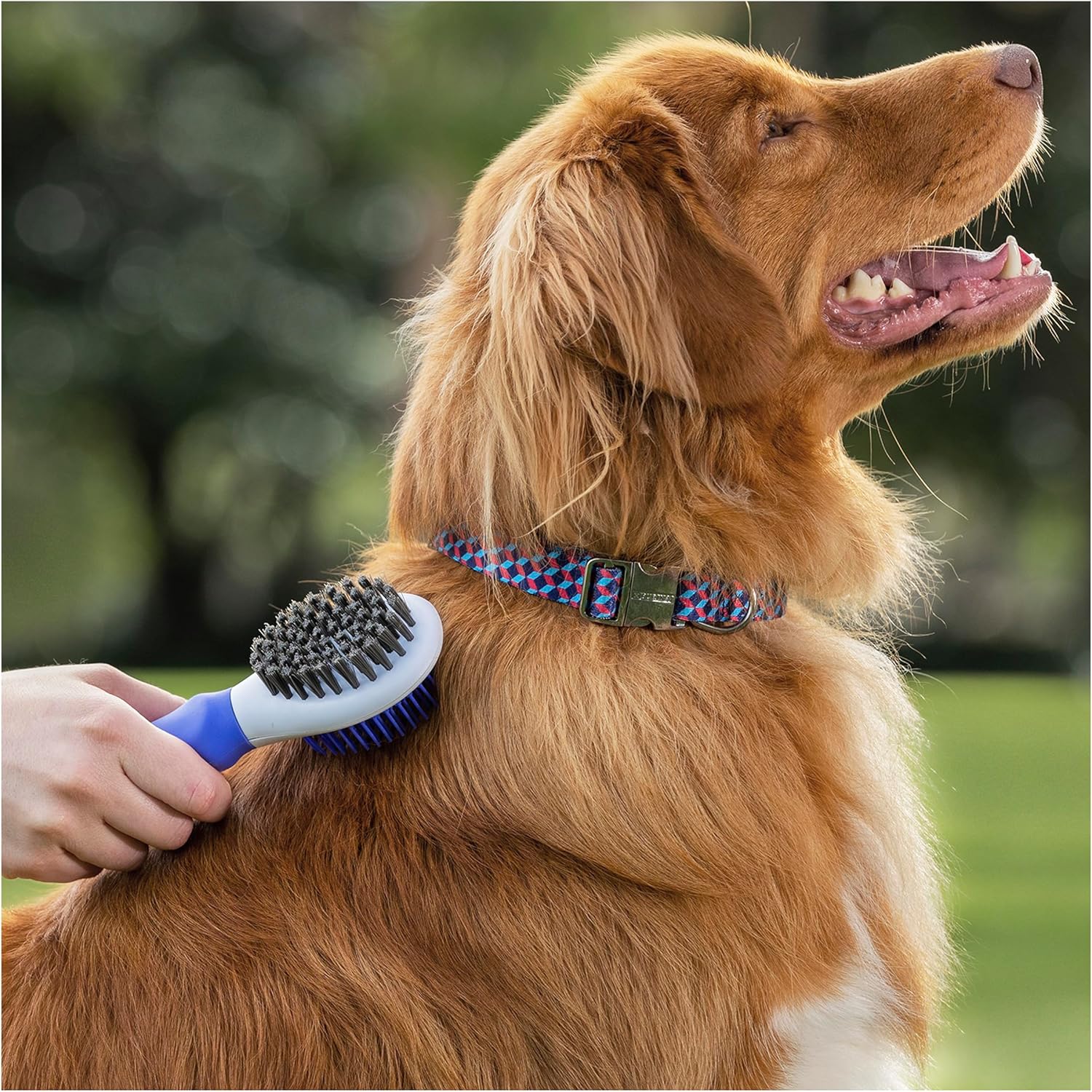 Purina Total Care Dog Brush & Shine 2 in 1 image 4