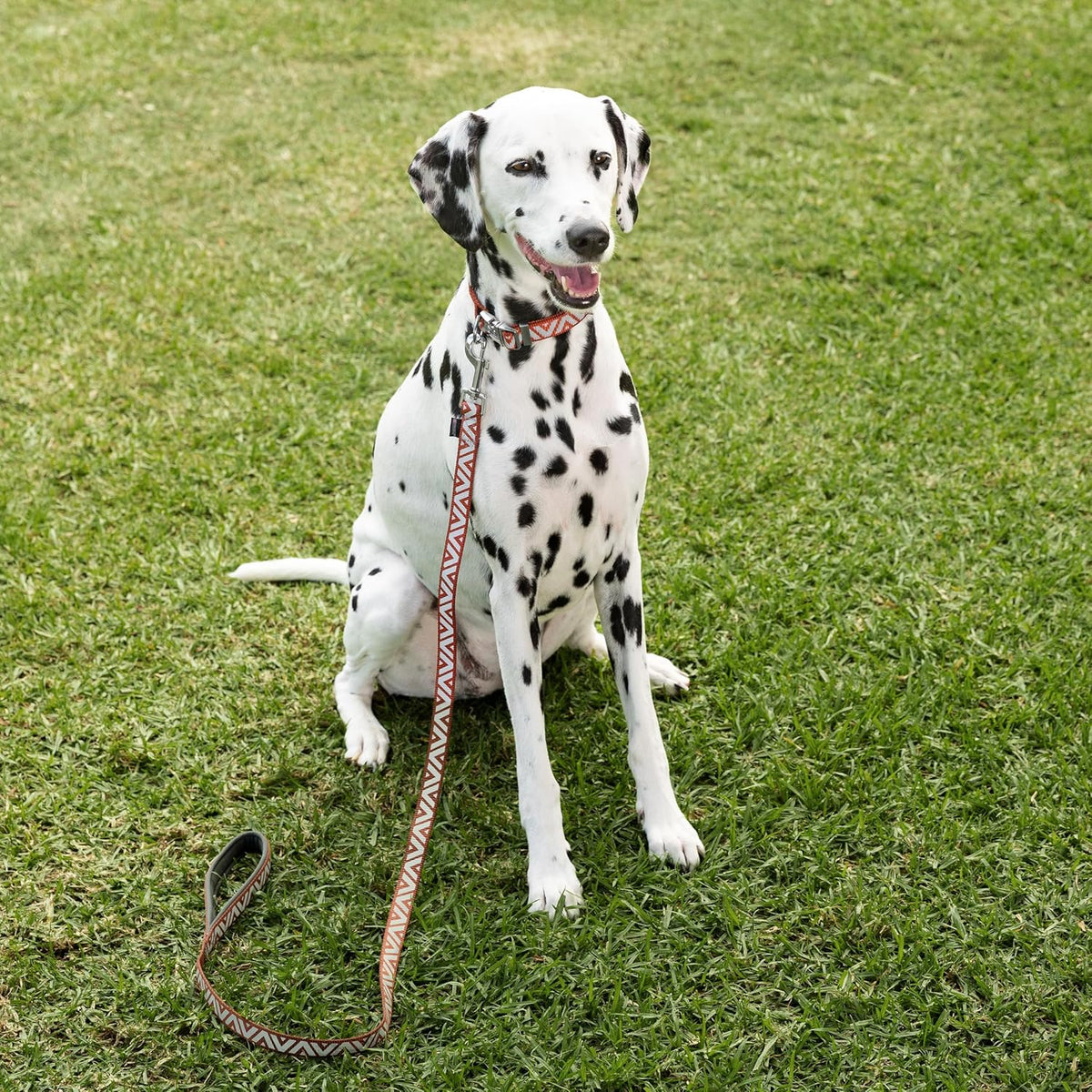 Purina Total Care Reflective Dog Lead 120cm image 5